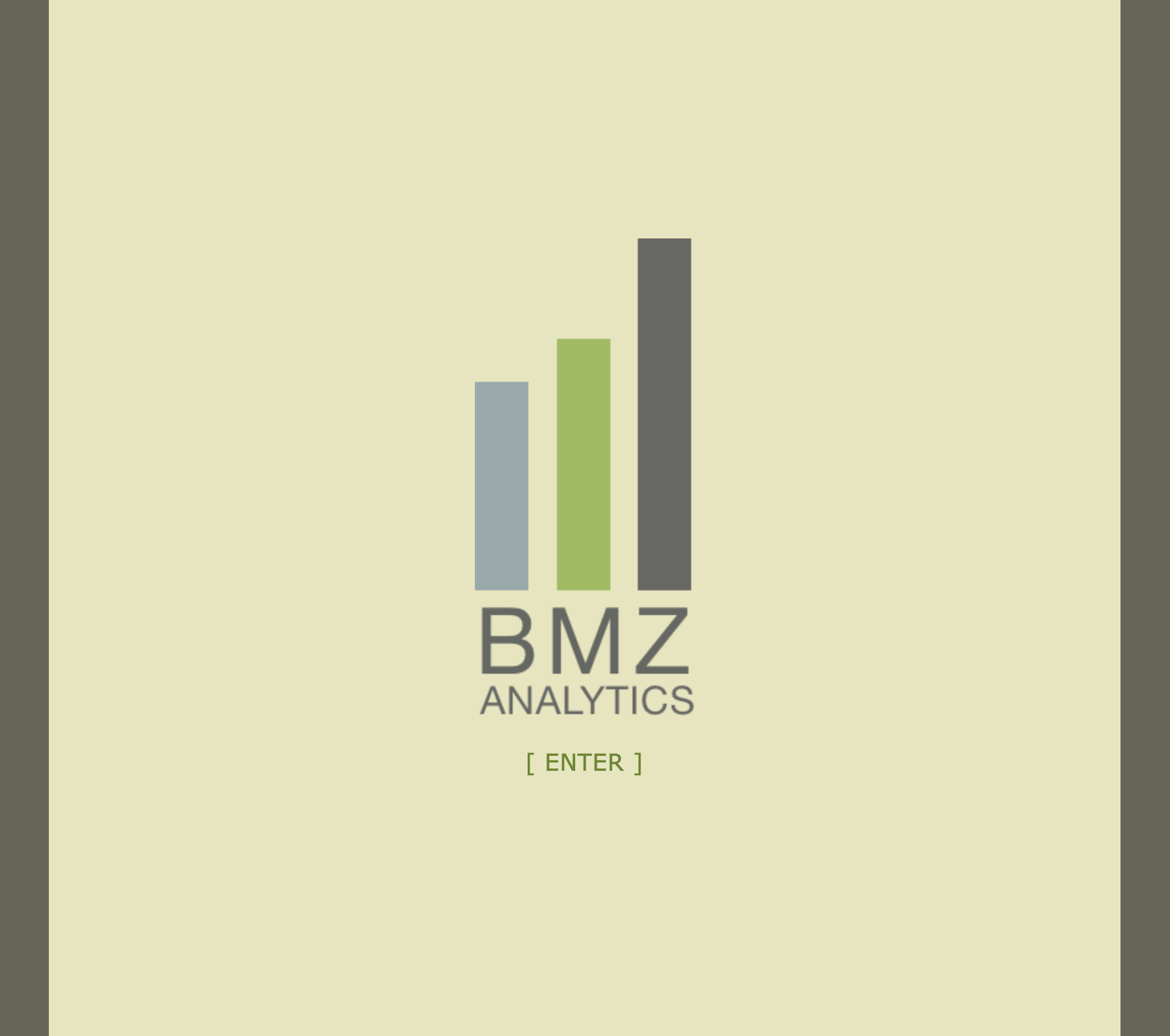 BMZ Analytics - Enter page