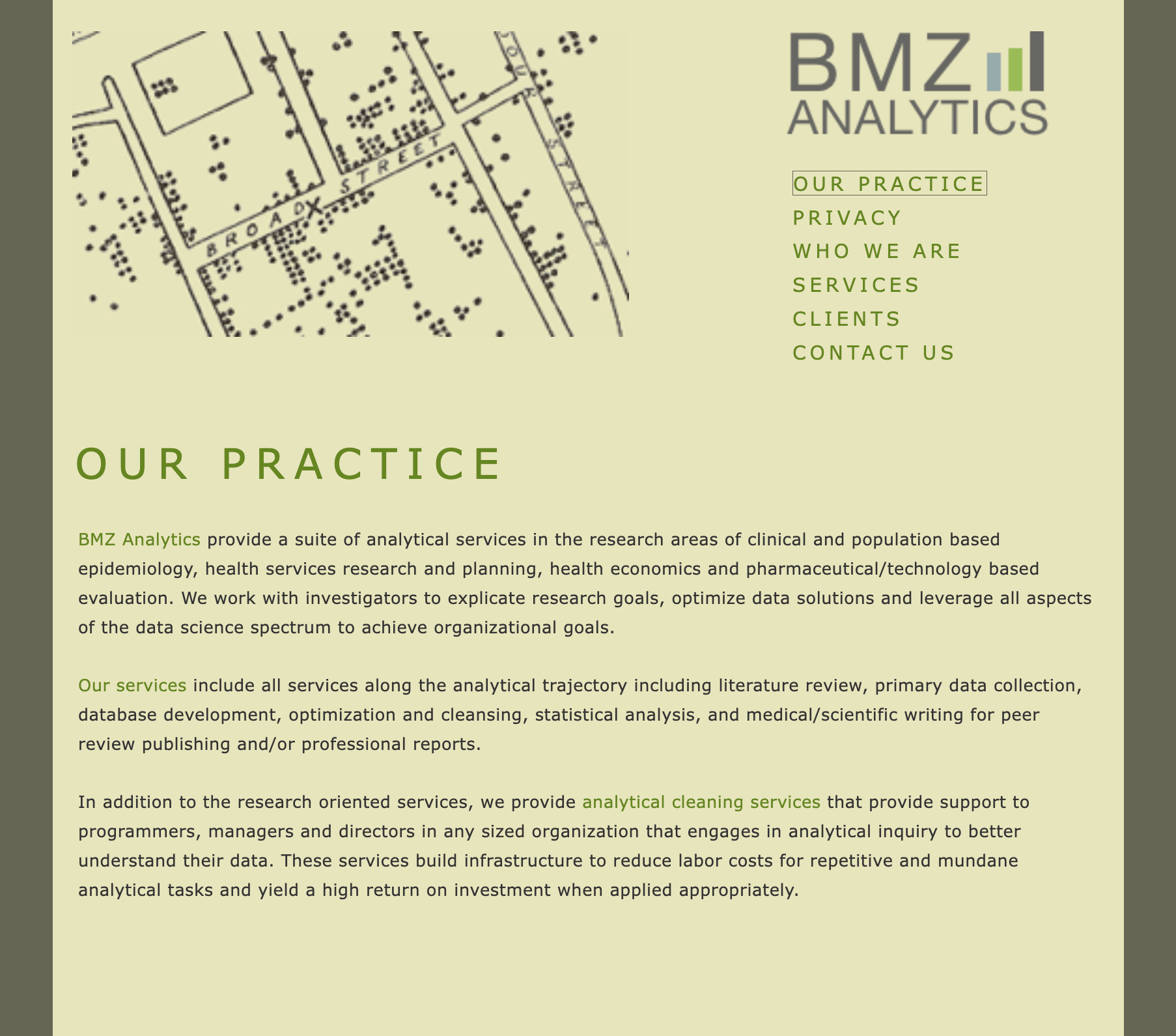 BMZ Analytics - Our Practice page
