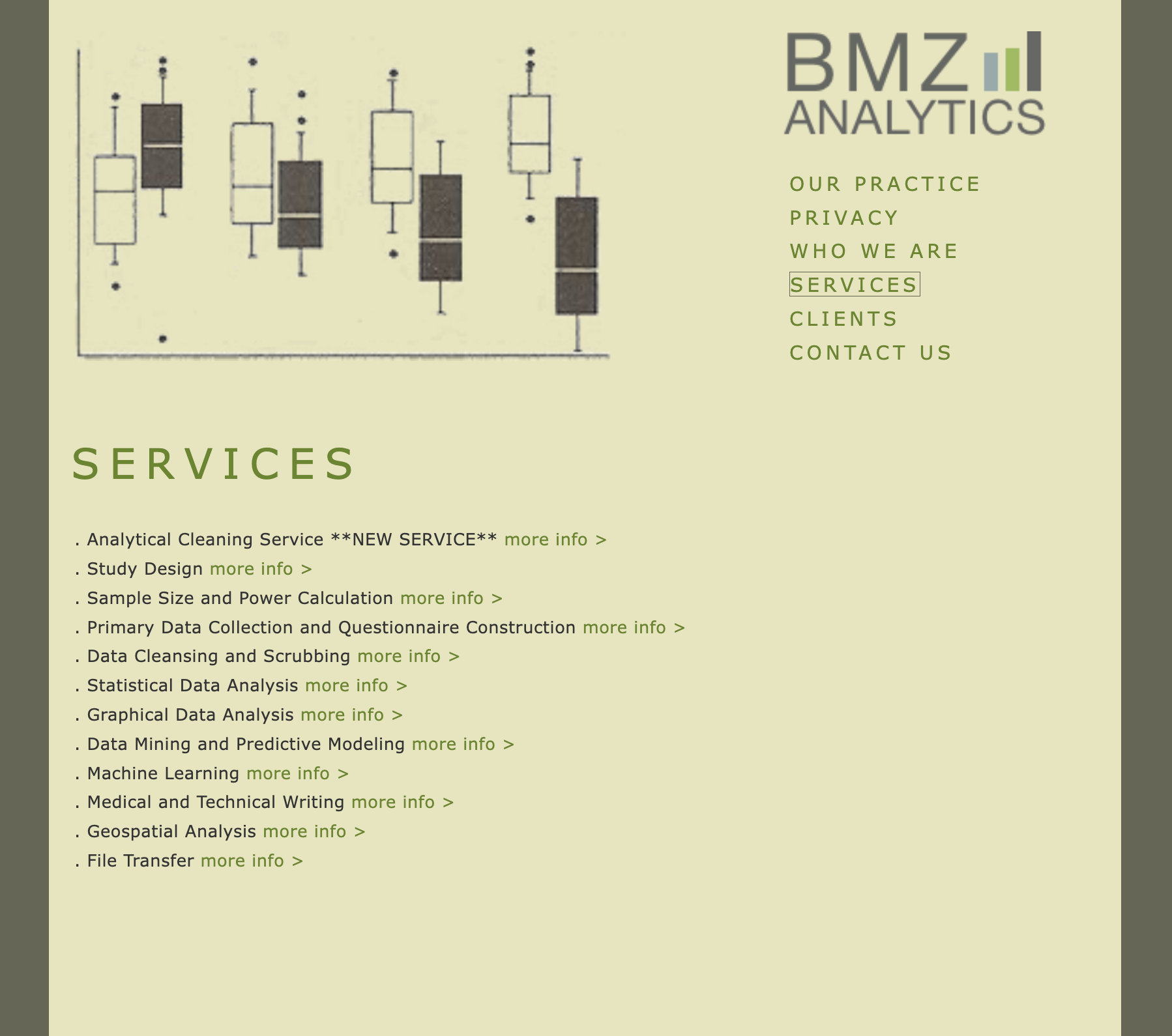 BMZ Analytics - Services page