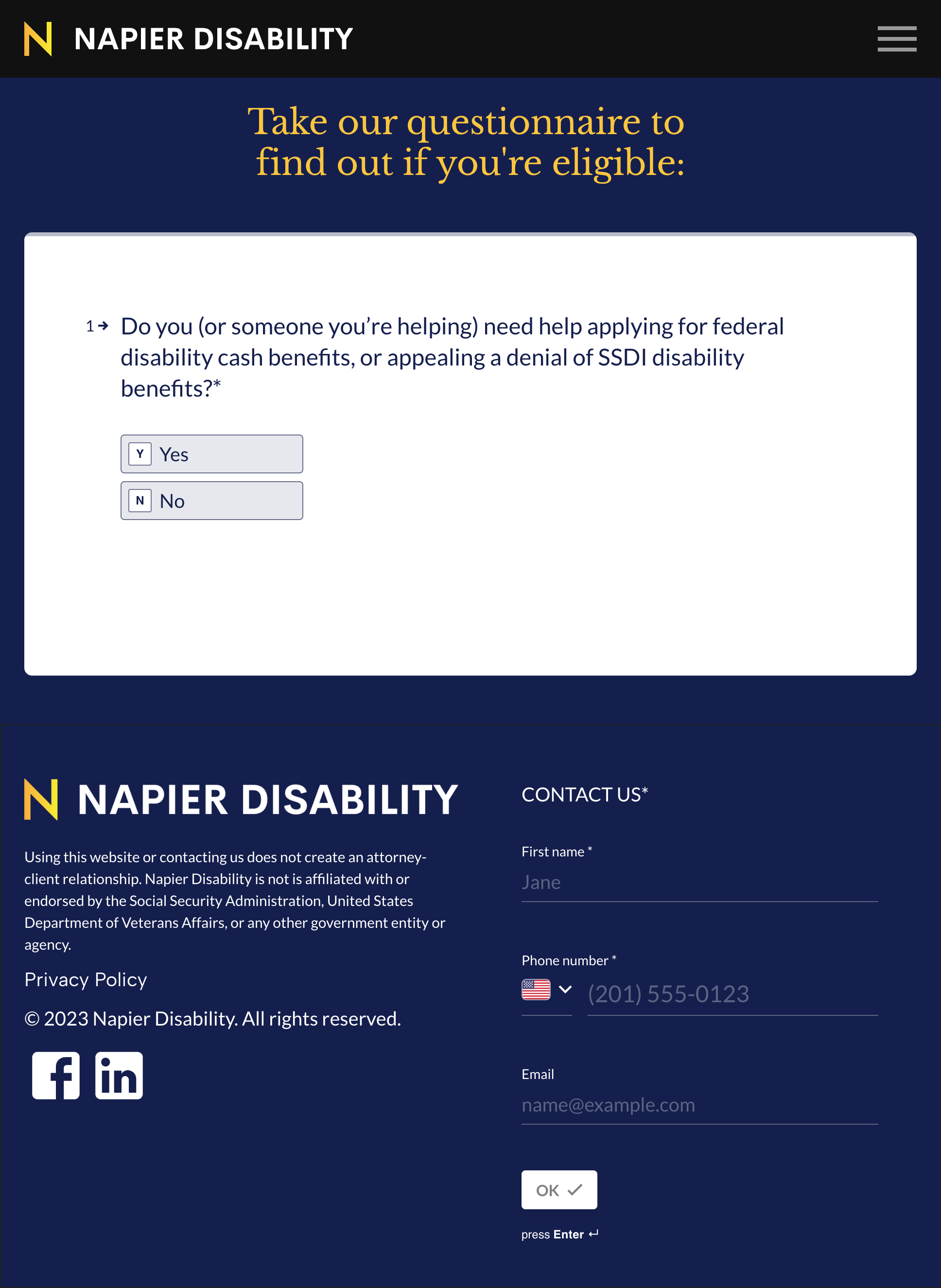 Napier Disability - Questionnaire page